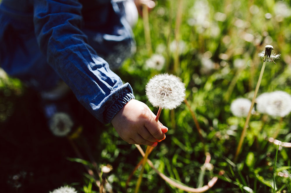 lifestyle family photo session in Copenhagen, family photos by Natalia Cury Copenhagen family photographer