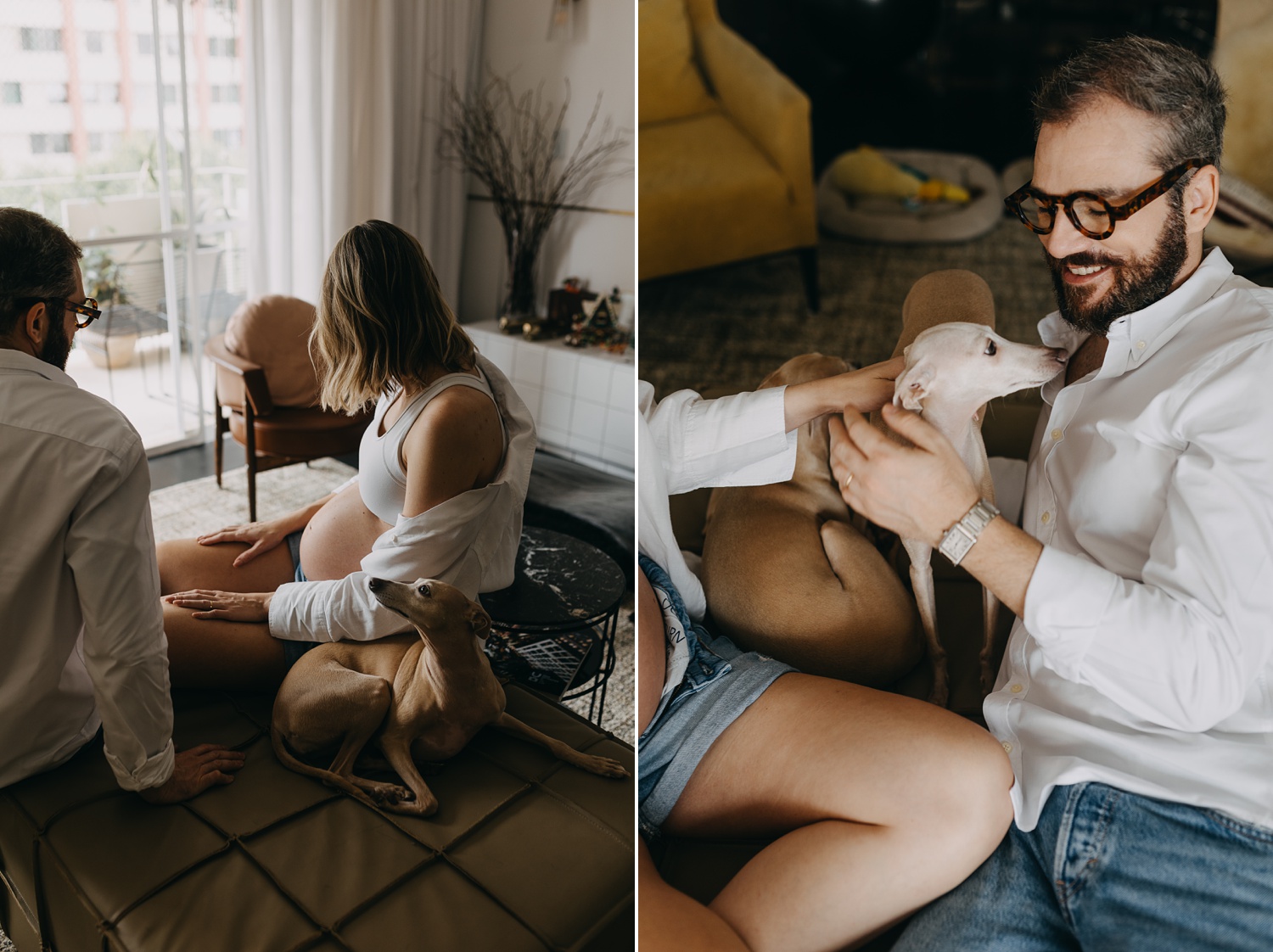 Intimate home maternity shoot showcasing the love, laughter, and canine companionship of an expectant couple and their Italian Greyhounds