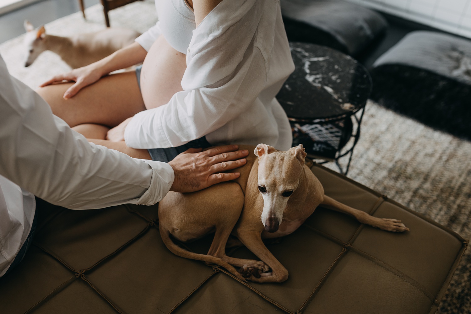 Joyful connection between man and his loyal dog