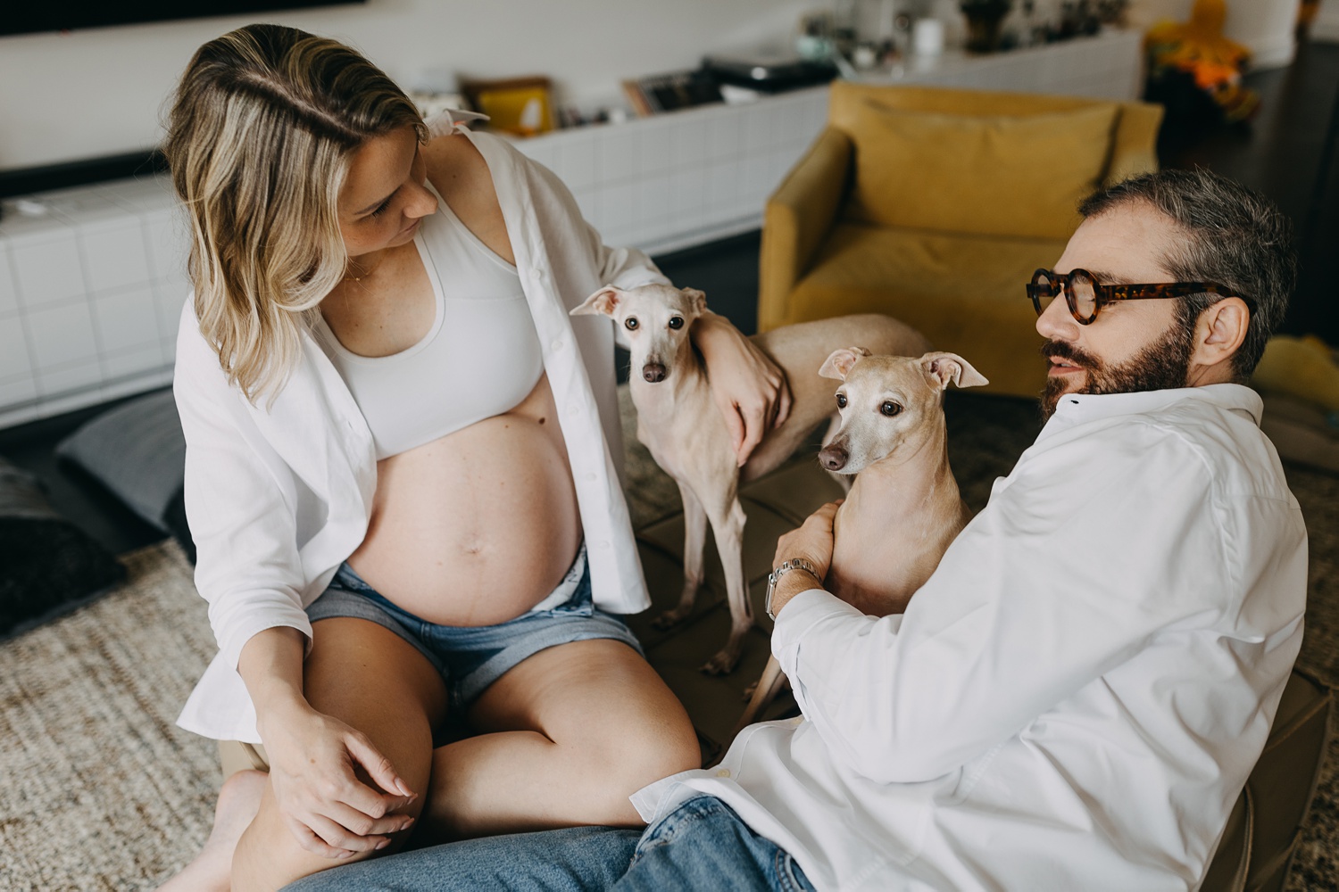 Maternity photoshoot with adorable Italian Greyhounds adding joy to the cozy home atmosphere