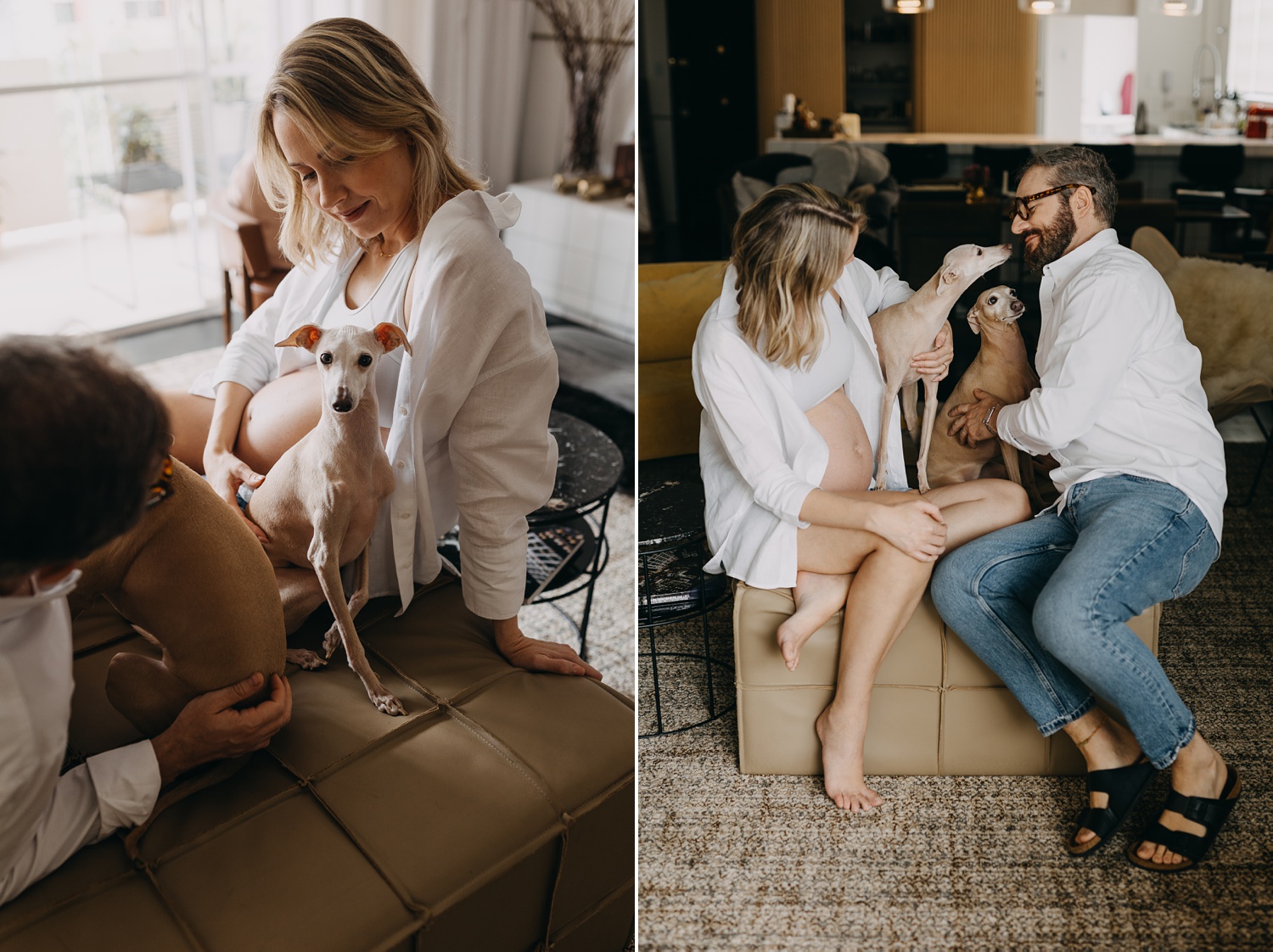 Intimate home maternity shoot showcasing the love, laughter, and canine companionship of an expectant couple and their Italian Greyhounds