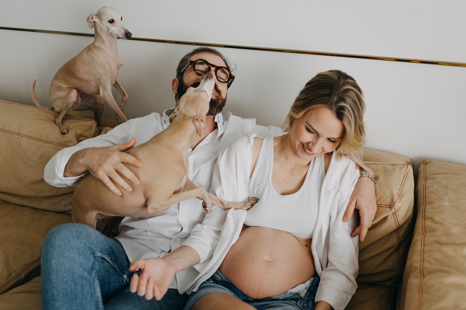 Expectant couple sharing a tender moment at home with their two Italian Greyhounds