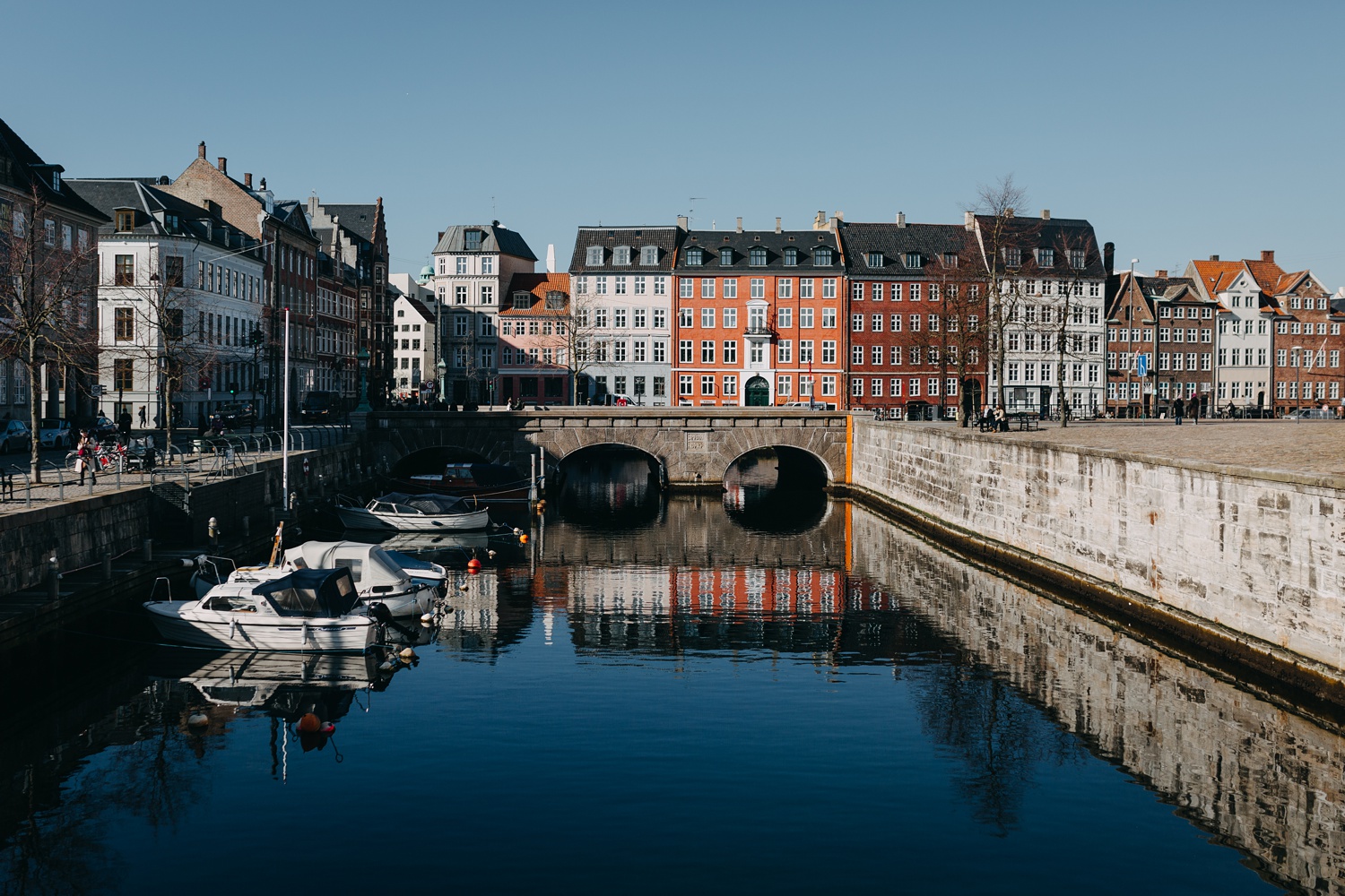 Copenhagen surprise proposal at picturesque waterfront